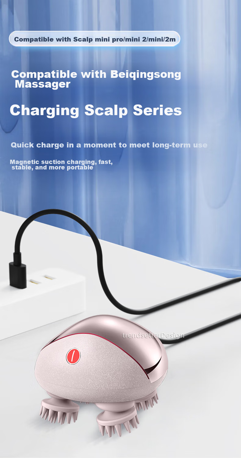 Chaofan Rechargeable Cable for Breo Scalp Massager, Scalp Mini Pro/2m/mini2/colorful Dragon Claw Hand Data Cable Accessory 3