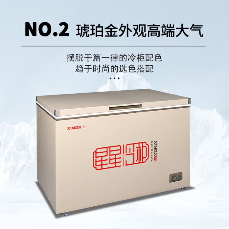 星星(XINGX)冰柜家用商用大容量全冷冻冷藏单温转换冷柜卧式冰箱微霜保鲜冷藏柜深冷速冻柜BD/BC-401A