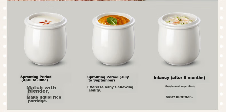 Bear Electric Slow Cooker, Soup Pot for 3-4 People, Stew Pot, Bird's Nest Cooking Pot, Soup Stewing Pot, Baby Food Cooker, DDZ-C25X6 4L with Steamer Basket 12