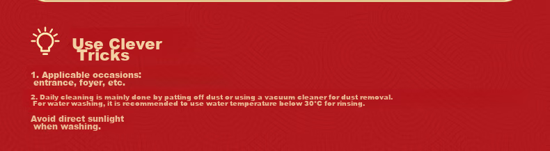 Dajiang Entrance Mat, Doorway Foot Mat, Safe Entry And Exit Mat, Red Festive Doormat, 50x80cm 9