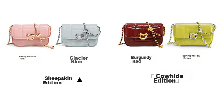 Mood New Versatile Chain Crossbody Bag, Light Luxury Niche High-End Exquisite Commuter Underarm Bag, Birthday Gift for Wome 21