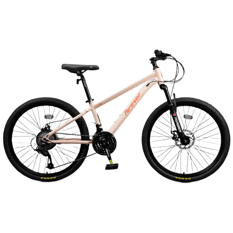 FOREVER Children's Bicycle for Ages 8-10 Youth Bike with Gears, Gray, 24-Inch, Suitable for Height 145-170cm