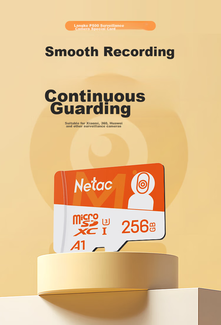 Netac 256GB TF (MicroSD) Memory Card A1 U3 4K Compatible with Xiaomi Surveillance Cameras & Dash Cams, Professional Monitoring Pro Versio 1