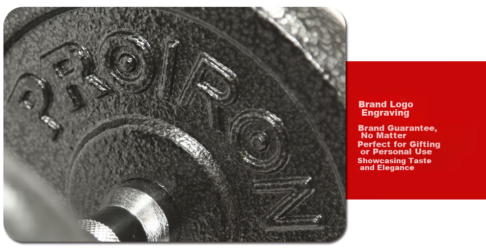 PROIRON Puli'ai Barbell And Dumbbell Weight Plates, Cast Iron, for Home Use, Weight Lifting Plates with 2.5 Cm Holes, 1.25 Kg * 4 6