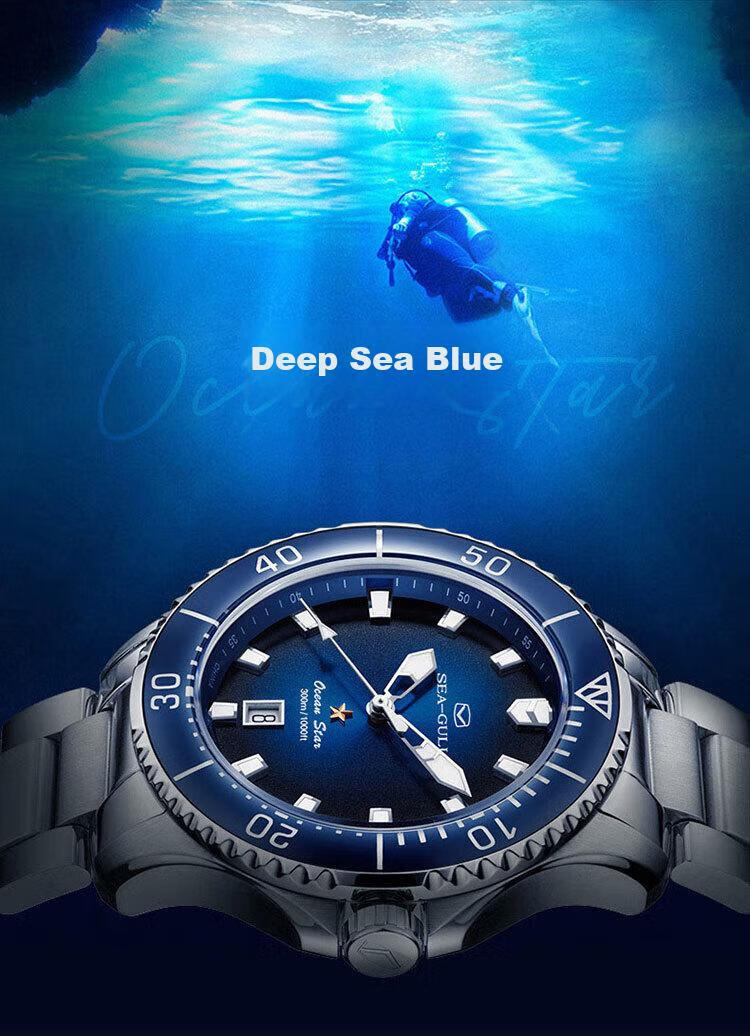 SEAGULL Men's Automatic Mechanical Watch, Ocean Pro Men's Watch Birthday Gift Diving Watch 1213 (Black 40mm) 23