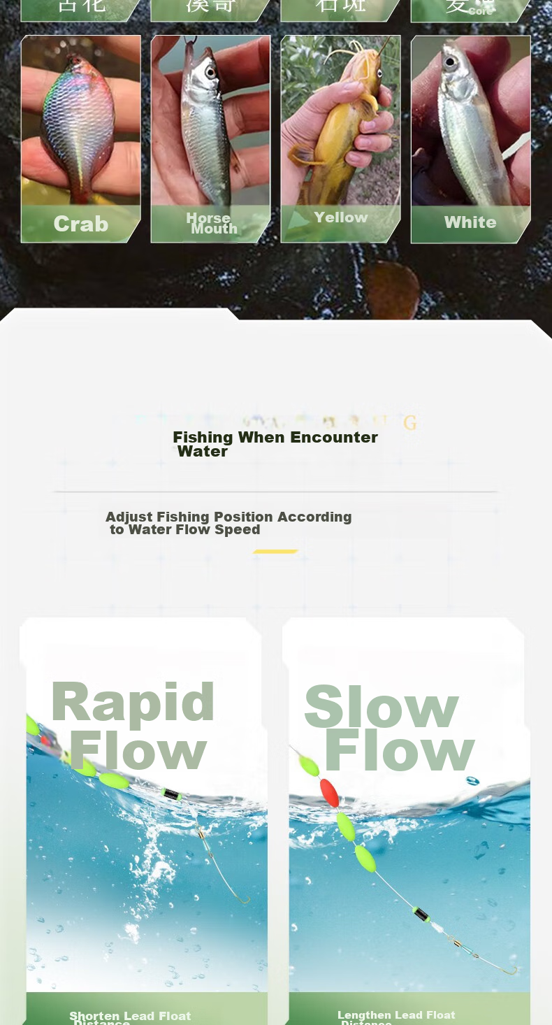 Diaoyuwang Stream Fishing Line Set Baitiao Maokousi Bandao Fish Line with Seven-Star Float And Hooks, Ready-Made Set with 2 Rolls of Line + 5 Sets of Hooks 5