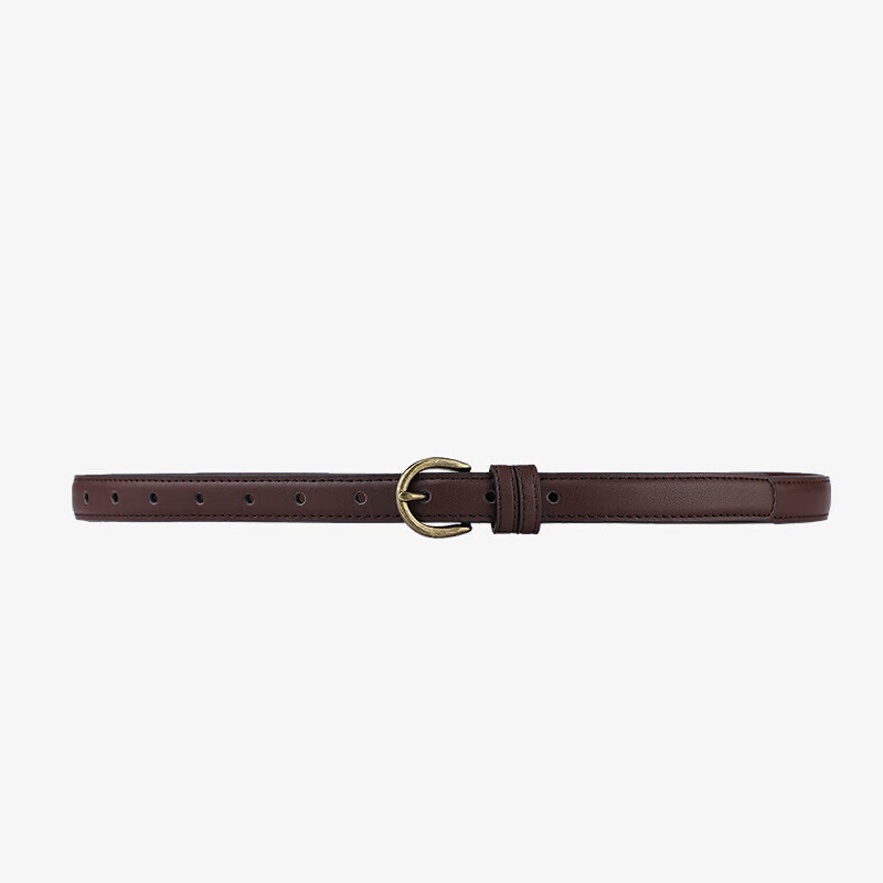 Viney Ladies' Belt, Fashionable Waistband, Decorative Thin Versatile Casual Student Pin Buckle Skirt Belt, Birthday Gift