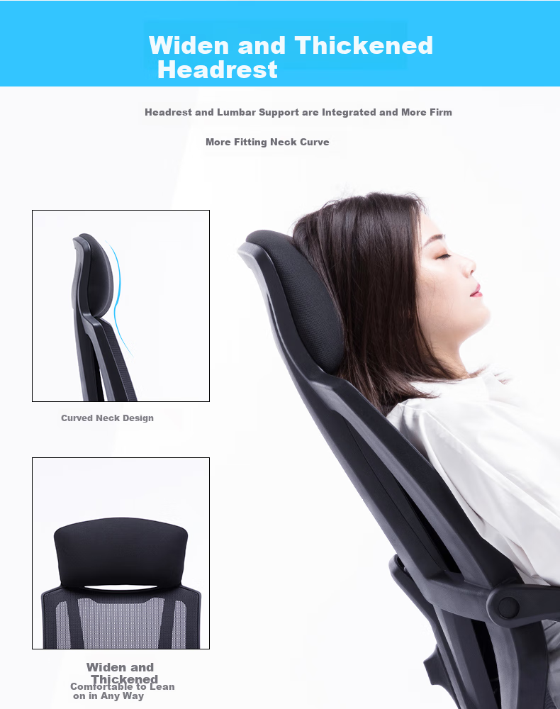 BECAUSES Computer Chair for Home Use, Reclining Office Chair, Conference Chair, Study Chair, Comfortable for Long Sitting, Ergonomic Seat 0895B 10