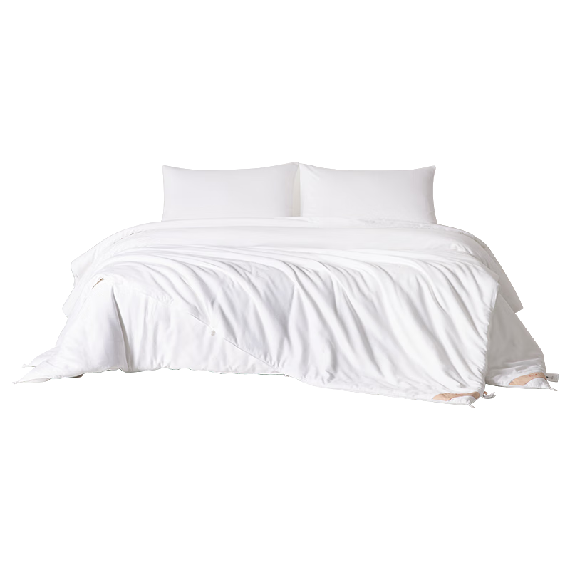 Silk Flower Empress [Silk Road Legend] 100% Mulberry Silk Quilt Core Autumn Winter Warm Quilt Silk Weight 5 Jin 200*230cm [White]