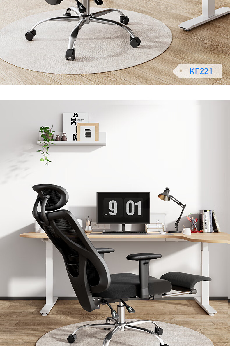 Deli KF221-J Ergonomic Chair, Height Adjustable Armrest Office Computer Chair, Alloy Feet with Footrest, Premium Versio 26