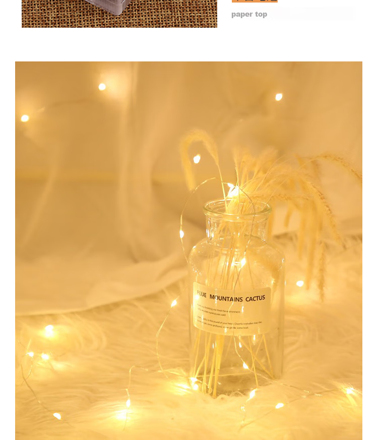 TaTanice Copper Wire String Lights, 10 Meters, 100 Lights, Gift Decorative Lights, Birthday LED Lights, Popular Trendy Lights, Romantic Atmosphere Lights 5