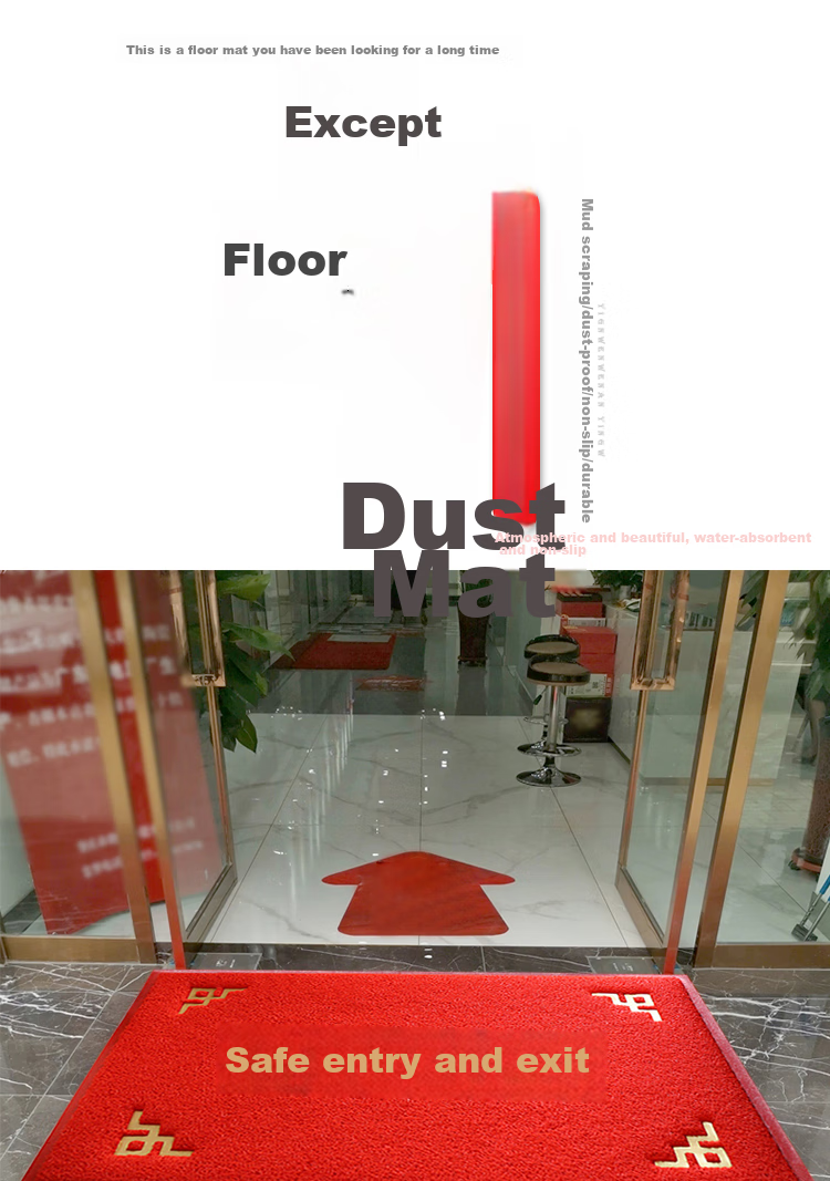 DIYIN Safe Entry And Exit Doormat Ingot 80*120cm, Entrance Floor Mat, Doorway Foot Mat, Silk Loop Welcome Non-Slip Mat 5