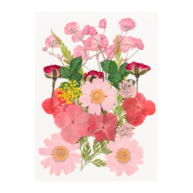 TIANSE Dried Flower Bookmark Pressed Flower Material Kit Creative Handmade Graduation Souvenir Gift for Boys and Girls Elementary Students Plant Specimen Colorful Flower Language Series Pink 19 Pieces