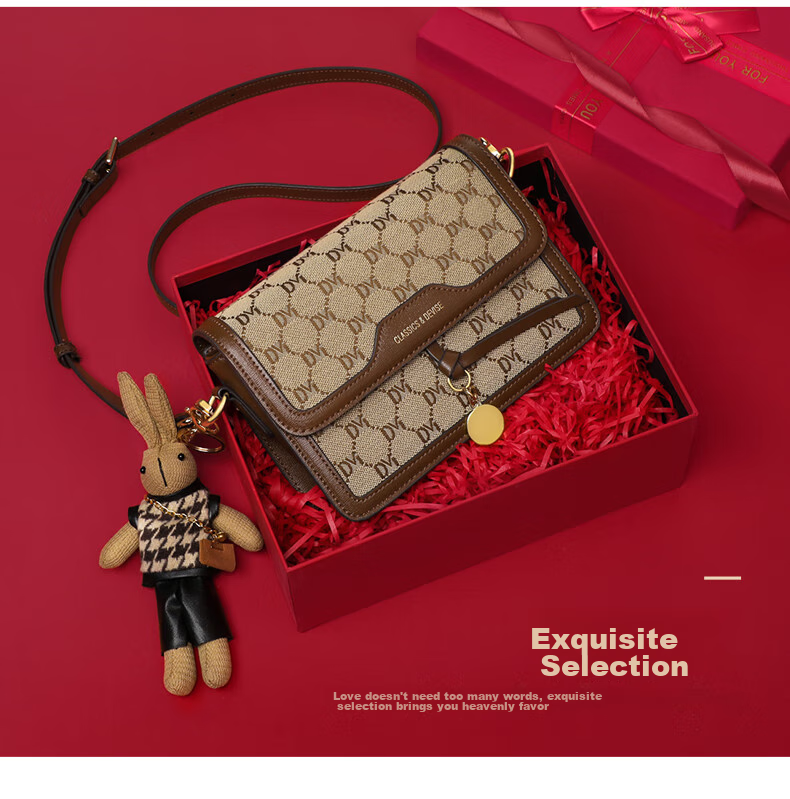 Aiqinghai Handbag, Women's Crossbody Bag, Shoulder Bag, Luxury Brand, High-End Small Square Bag, Birthday Mother's Day Gift, Practical Present for Mom 2