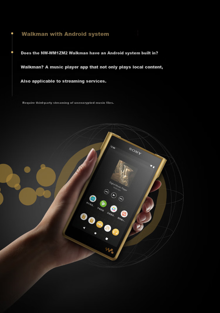 SONY NW-WM1ZM2 Hi-Res High-Resolution Music Player/MP3 Hi-Fi Lossless Flagship, Oxygen-Free Copper Gold-Plated Body, Jin Zhan 2nd Generatio 11