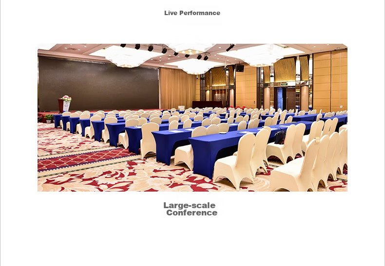 TAKSTAR G5 U-Segment Wireless Microphone System, Dual-Channel Wireless Mic for Professional Performance, KTV, Meetings, Karaoke, Handheld Microphone 12