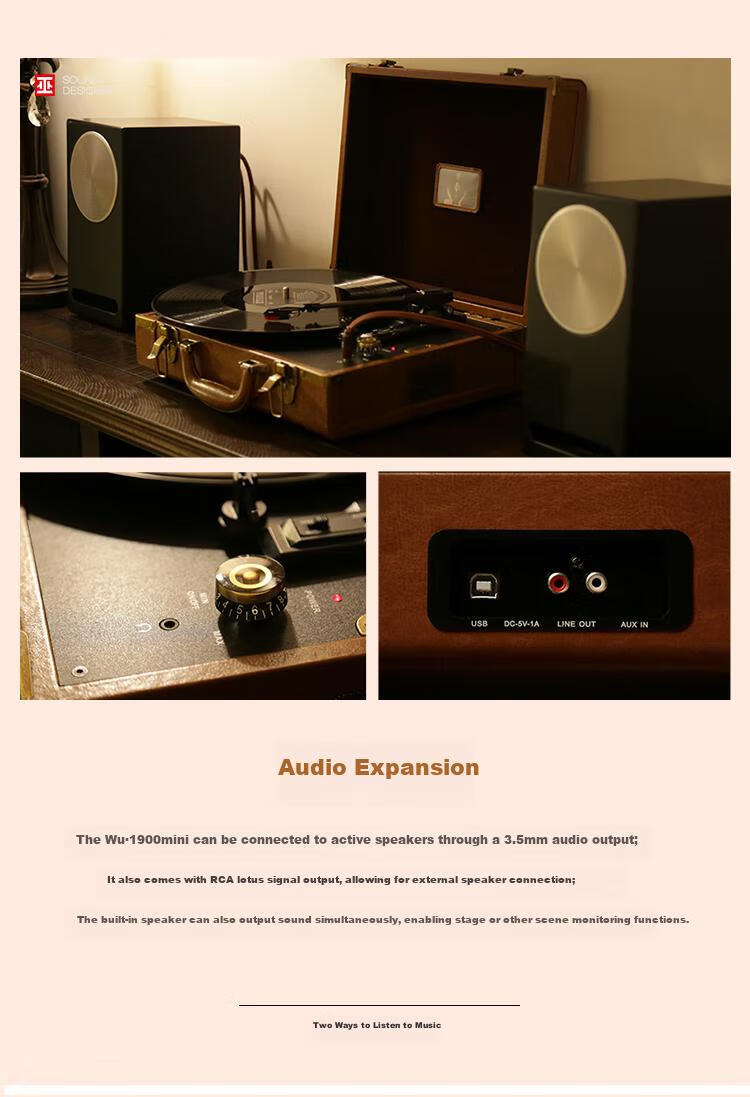 Wu Brand Vinyl Record Player, Bluetooth Speaker And Turntable Combo, Portable Retro LP Phonograph, Graduation Gift, 1900mini Classical Gree 12