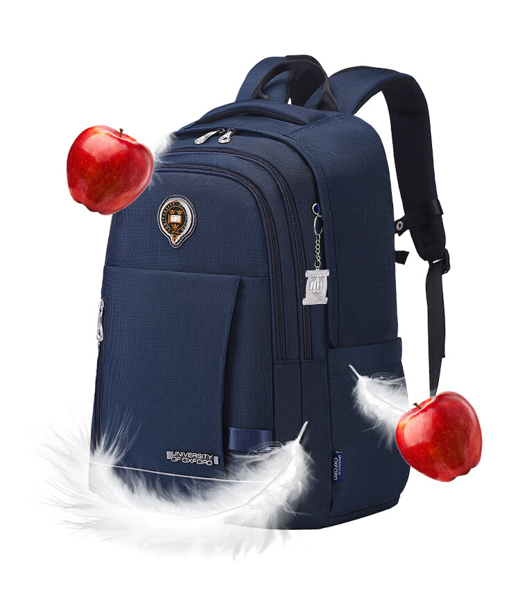 UNIVERSITY OF OXFORD Backpack for Male And Female Middle School Students, High School Students, Lightweight Travel Backpack X1074 Black 9