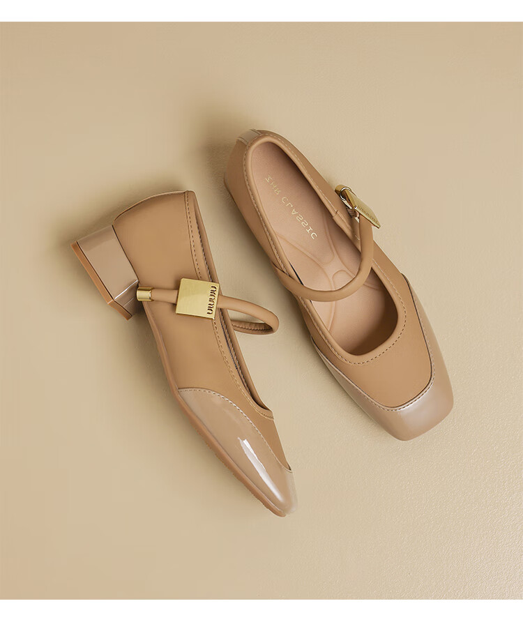 ZHR Mary Jane Shoes for Women, Elegant Shallow Mouth Chunky Heel Pumps, Square Toe Women's Shoes, K283, Beige, Size 36 22