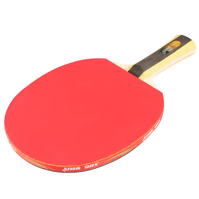 DHS One-Star Penhold Table Tennis Racket H1002 with Ball Bag And Ping Pong Balls