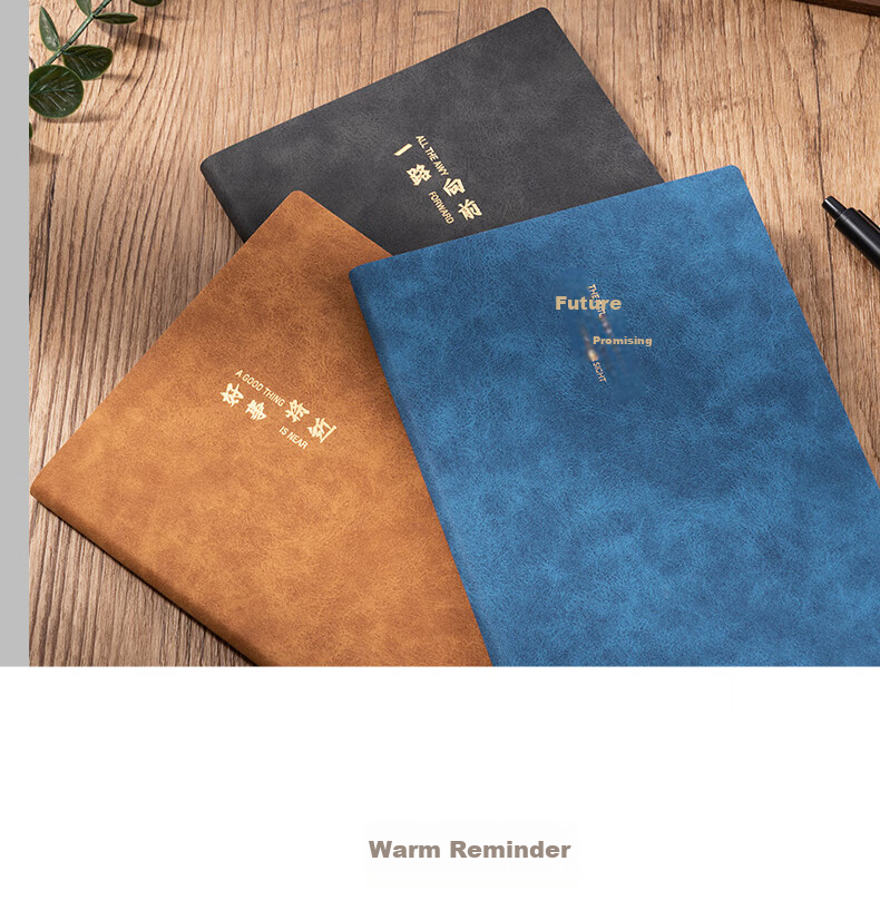 Deli A5 Lambskin Notebook, Leather Cover, Business Office Journal, Fashionable Text Series (Looking Forward), 80 Sheets BP152 Blue 19