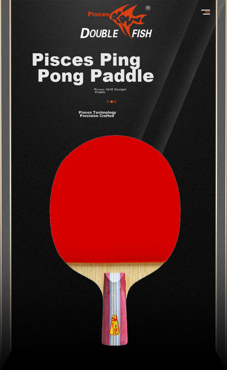 DOUBLE FISH Straight Handle Entry-Level Table Tennis Racket for Elementary School Students, Beginners, And Entertainment Use, Double-Sided Reverse Rubber Ping Pong Paddle [1A+E + 2 Balls Included] 1