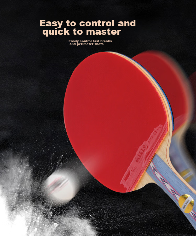 DHS Kuangbiao Gift Box Table Tennis Racket, Penhold Grip No.2, Rosewood Surface, Blue Sponge, Double-Sided Reverse Rubber Table Tennis Paddle 4