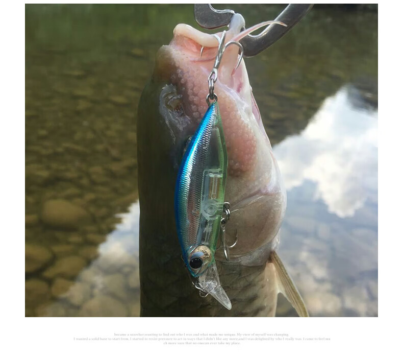 Guowangluya Lure Fishing Bait Set: Sinking Minnow Long-Casting Vibrating Sinking Bait for Freshwater Bass And Artificial Fish Bait 9