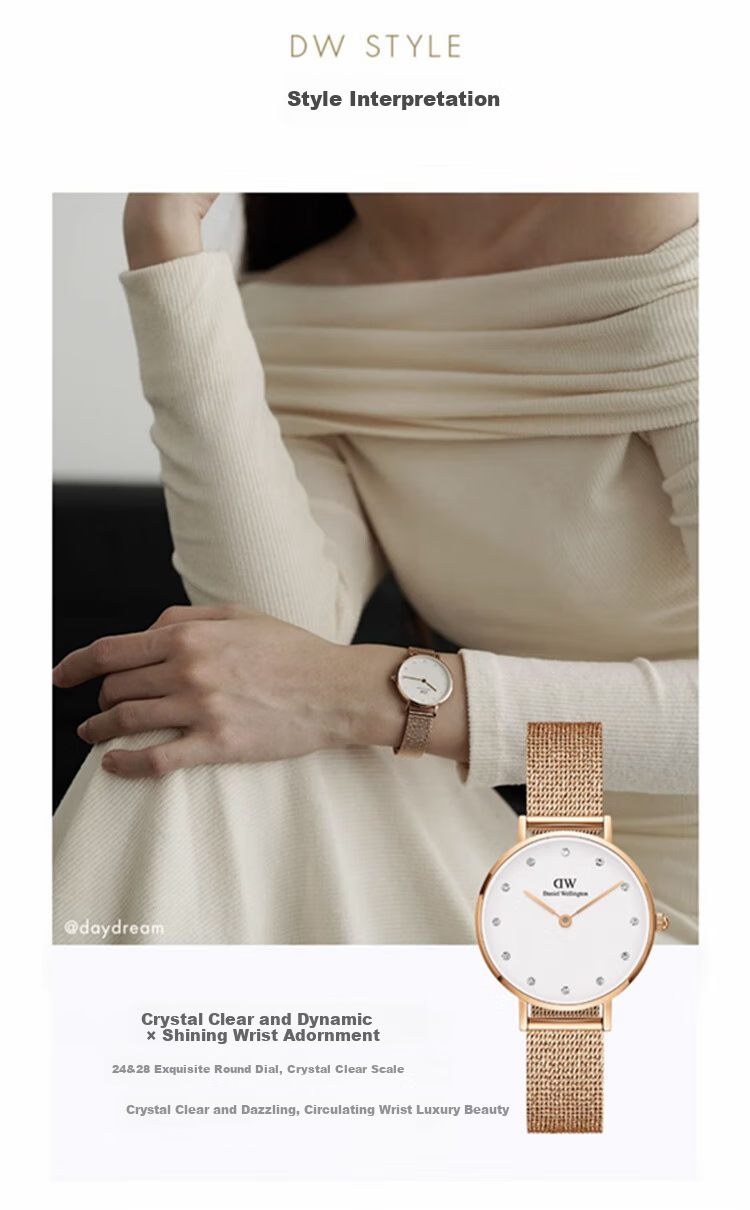 Daniel Wellington DW Women's Watch Light Luxury Golden Minimalist Quartz European and American Style Wristwatch Birthday Gift for Girlfriend DW447 4