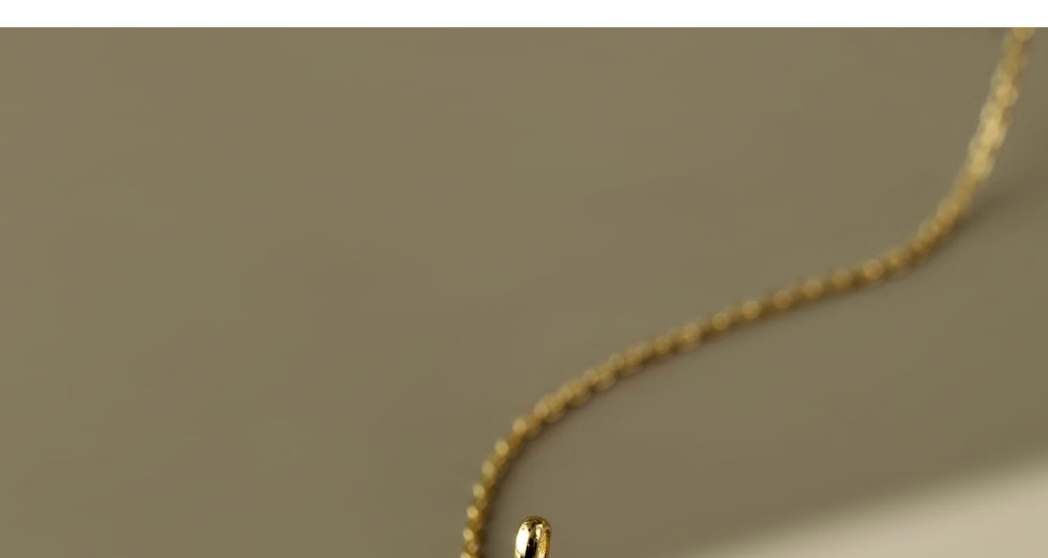 Arsis Embossed 12 Constellations Necklace, Original Design, Exquisite And Fashionable, Versatile, Birthday Gift for Girlfriend, Aquarius 8
