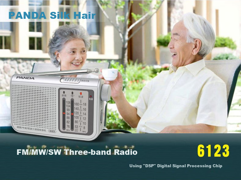 PANDA 6243 Radio Full Band Portable Illuminated Card Slot Small Gift for Elderly, Handheld Car-Mounted Backup Semiconductor, Black 1