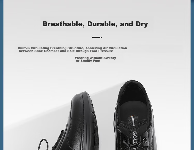 Goldlion Men's Shoes, Business Casual Shoes, Fashionable Comfortable Soft Elastic Band Leather Shoes G539410008AAA with Lining, Size 41 3