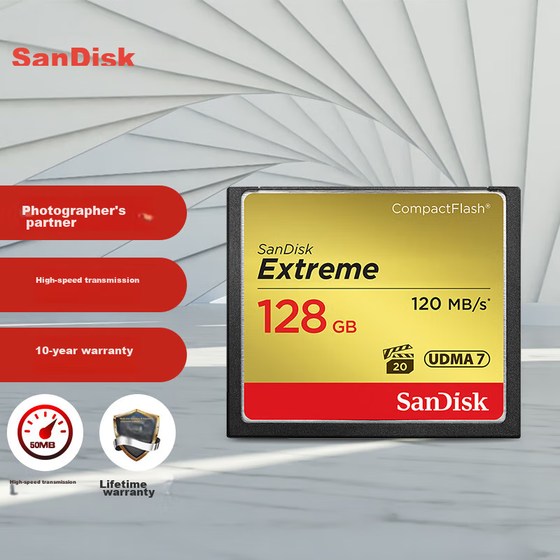SanDisk 12-01306309