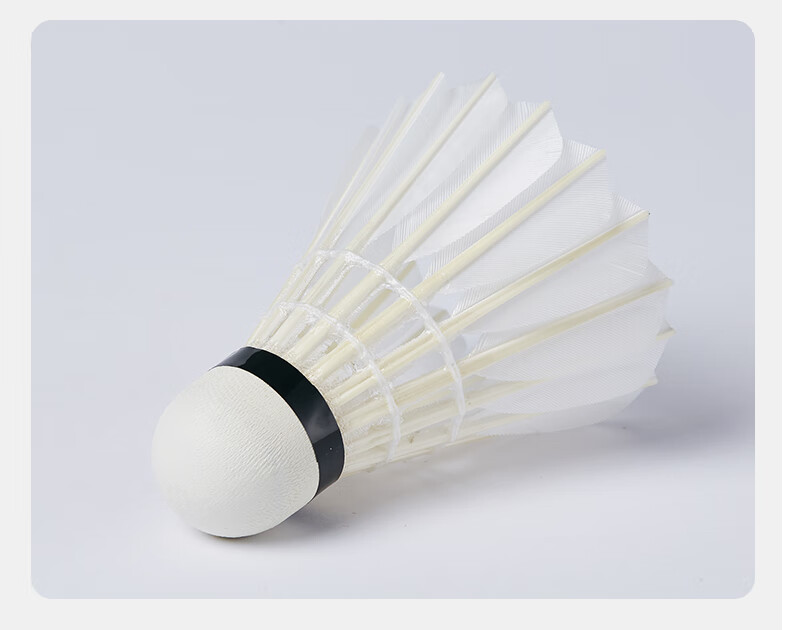 Kawasaki Badminton Durable Training Shuttlecocks, Competition Grade, Stable Flight, Xinghe 7 Model, Pack of 10 11
