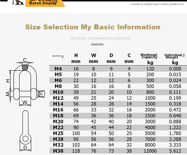 Locroyon 979 U-Shaped Quick-Release Ring, National Standard Straight Lifting Shackle, U-Shaped Clip, Tow D-Shaped Shackle, 304 Stainless Steel Material, M10 5