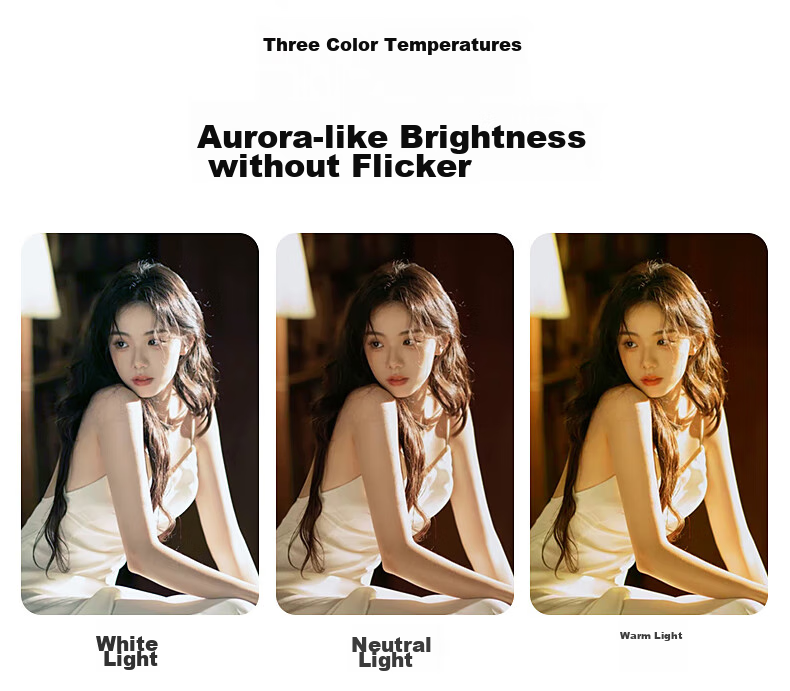 Beiyang Live Streaming Photography Fill Light, 200W Live Streaming Light, Professional Spherical Influencer Host Lighting, LED Soft Light, Studio Photography Light, Video Top Light, Octagonal Soft Box Light 12