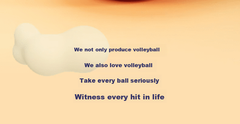 Deli Elementary School Volleyball, Size 4 Youth Exam Sports Elastic PU Wear-Resistant Training Volleyball 13