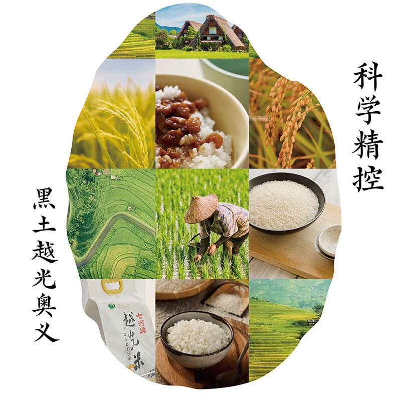 七河源越光米2.5kg 东北大米长粒米 5斤装双层包装 小长粒米 一级粳米