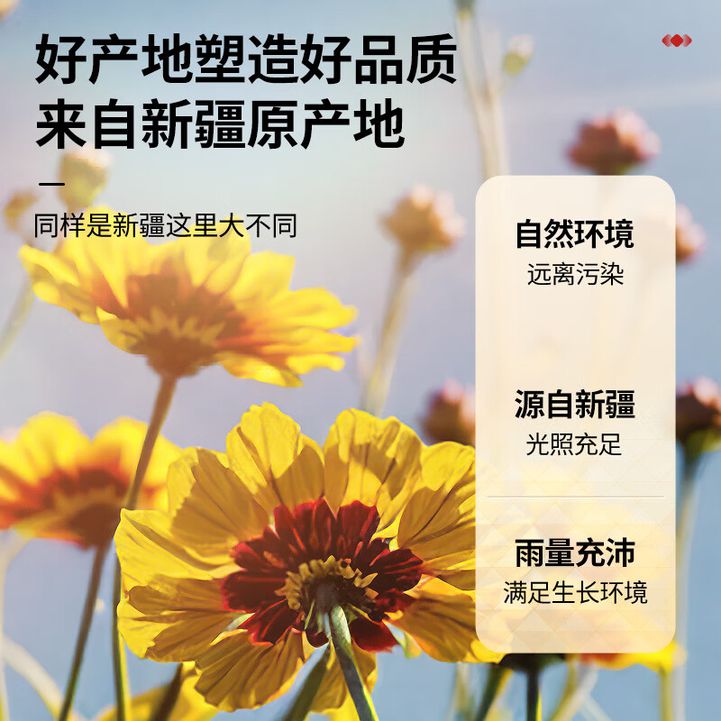 同仁堂品牌 北京同仁堂青源堂雪菊昆仑雪菊胎菊花草养生茶礼品70克*2瓶