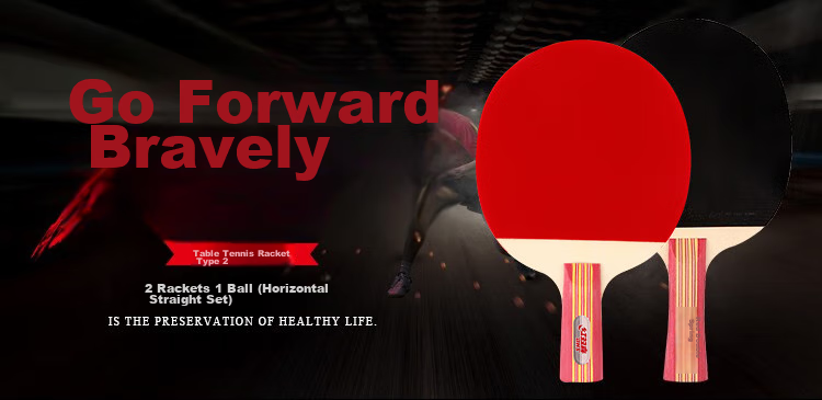 DHS Table Tennis Racket, 3-Star Penhold Grip, Single Racket, Double-Sided Reverse Rubber, Five-Layer Pure Wood H3002, Includes 6 Ping Pong Balls 1