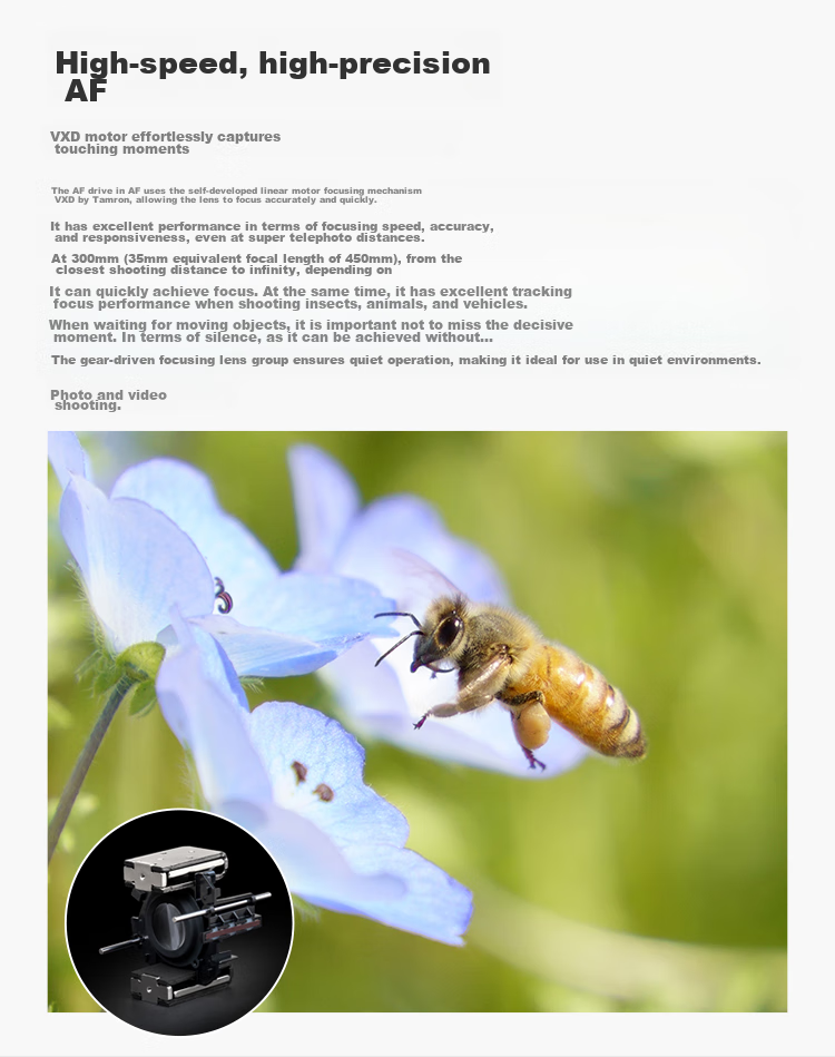 Tamron B061S 18-300mm F/3.5-6.3 Di III-A VC VXD Image Stabilization Telephoto Zoom Lens for Mirrorless Cameras (Sony APS-C E-Mount) 5