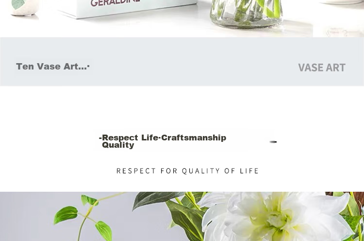 Jidukongjian Glass Vase, Living Room Decoration, Desktop Ornament, Hydroponic Flower Arrangement, Transparent Glass Vase, Diamond-Shaped, Lucky Bamboo 6