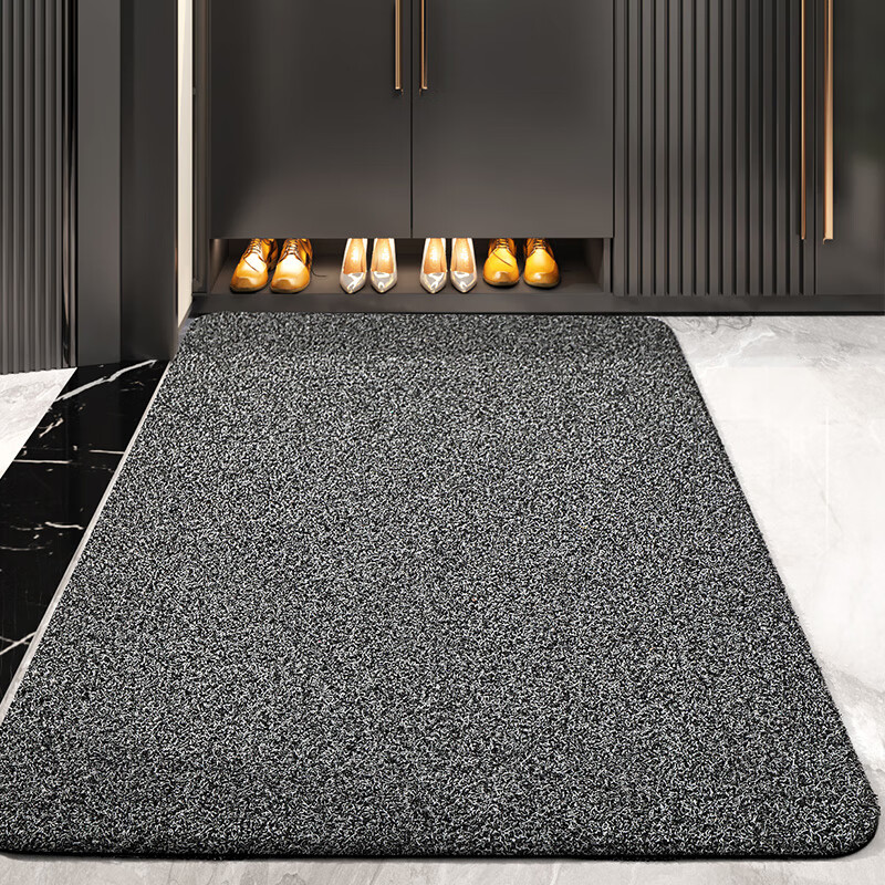 Dajiang Entrance Door Mat, Indoor Foot Mat, Doorway Doormat, Outdoor Dirt-Scraping Mat, 57x87cm