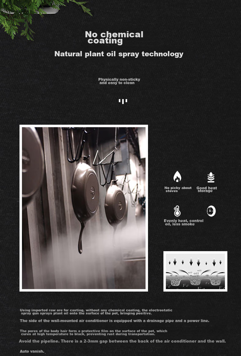 LODGE [Imported from USA] 26cm Flat Bottom Deep Frying And Stewing Pot, Non-Coated Non-Stick Cast Iron Pan L8DSK3 2