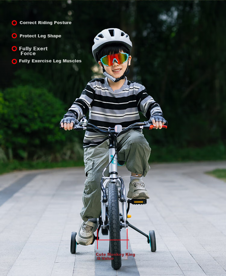 Mengdasheng F01 Children's Bicycle, Aluminum Alloy Ultra-Light Mountain Bike, Fun Ride for Ages 3-6 with Training Wheels And Pedals, 14-Inch Silver 4