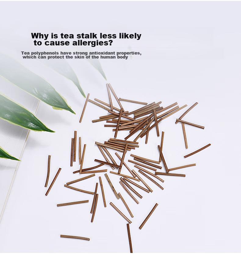 Dijing Tea Leaf Ear Sticks, Ear Piercing Ear Studs, Tea Leaf Sticks to Prevent Ear Clogging, Invisible Tea Leaf Sticks, Ear Protection to Prevent Plugging, Sleeping without Removing, for Newly Pierced Ears 3