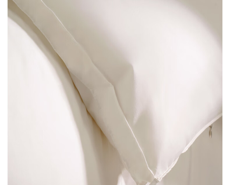 Interlagos Ergonomic 95% White Goose Down Comforter, Japanese Imported Duvet Insert, 700g Winter Quilt, 150*200cm 35