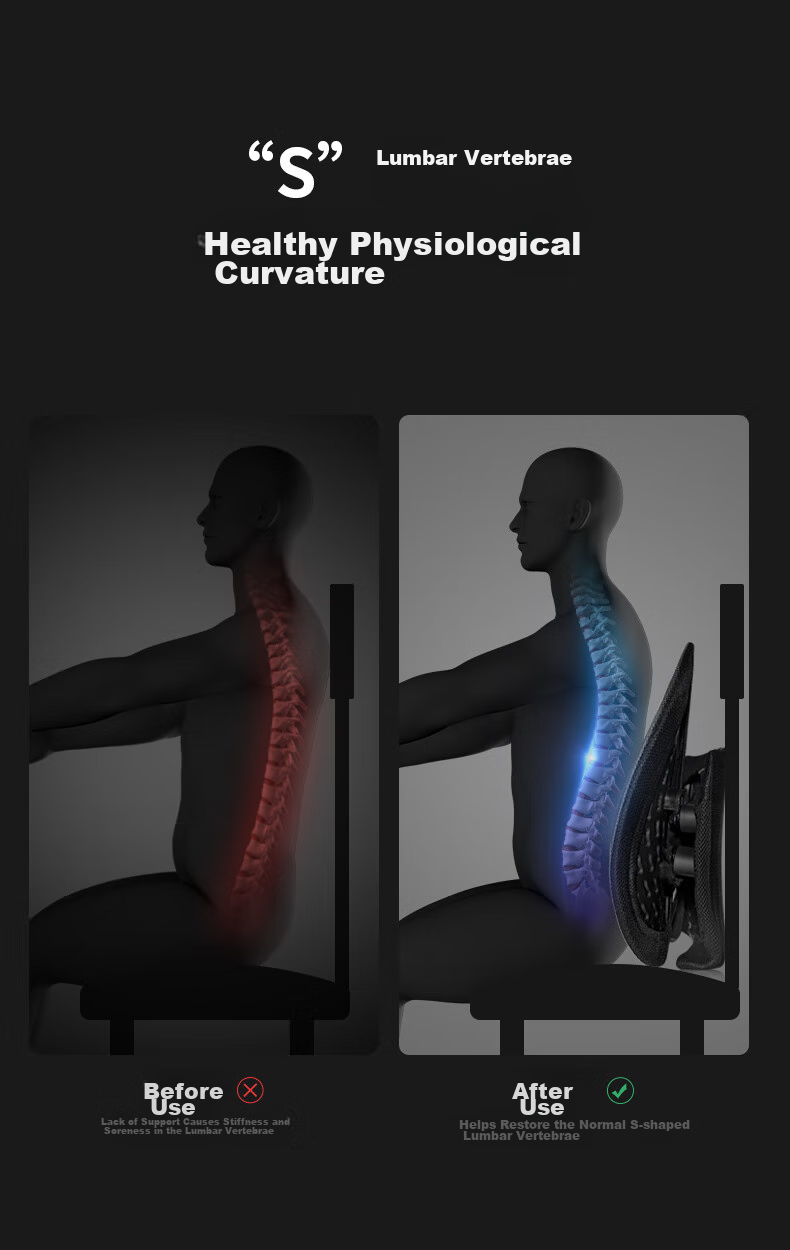 JAGO Ergonomic Lumbar Support Cushion for Office Chair, Back Support Pad for Long Sitting, Seat Cushion for Work And Car Use 5