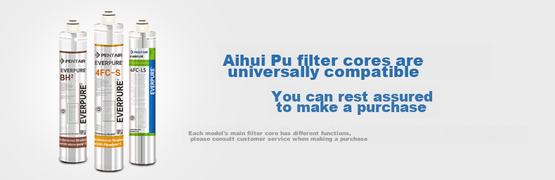 Everpure BH(2) Pre-Filter Cartridge 2