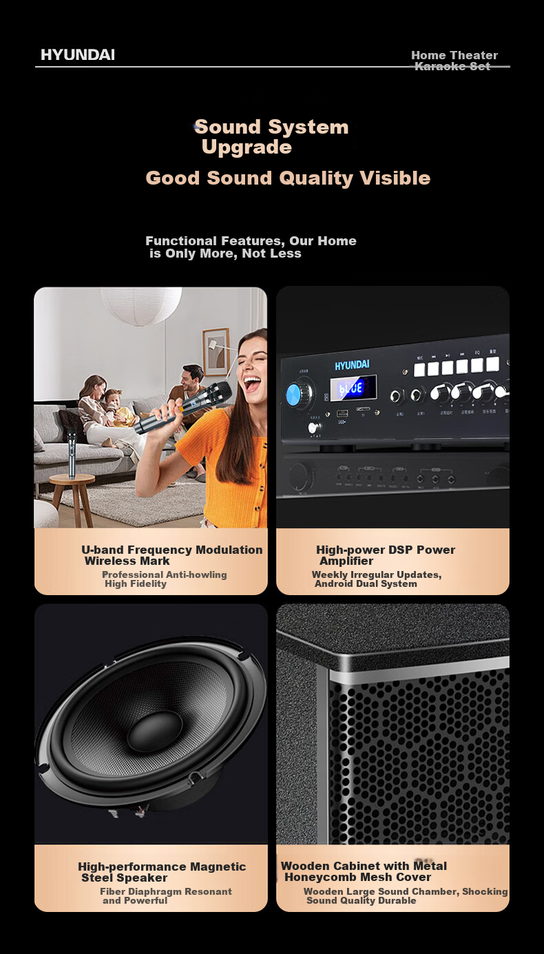 HYUNDAI Home Theater KTV Sound System Set, Professional Amplifier for Living Room, Conference Room, Karaoke, Complete Package with Speakers And Equipment for Shops And Karaoke Venues 2